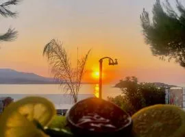 Hotel Villa Adrian
