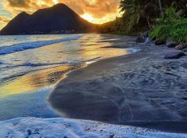 Abricotier à proximité des plages du sud, hotel en Rivière-Pilote