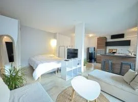 Studio moderne avec terrasse sur le toit, parking et WIFI - FR-1-226B-225