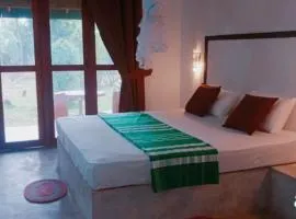 Ema homestay