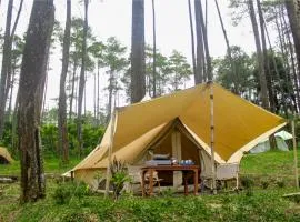 Lembah Pinus Cikole
