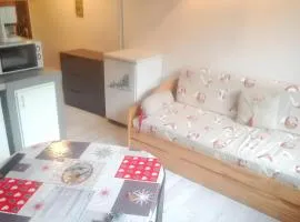 Appartement cosy à La Bresse - 16 m² - Parking disponible