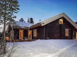 Awesome Home In Hemsedal With Sauna