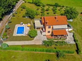 Apartment Nedescina 47