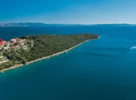 Apartment Labin Lxxxi