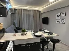 Seagull center kavala