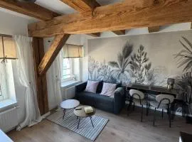 Apartament Centro 9