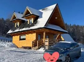 Domek Zakopiański Widok