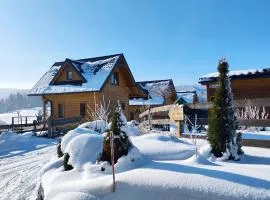 Leśna Przystań - Domki całoroczne