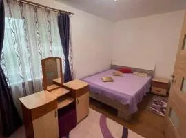 Apartament Florina