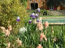 Provence Luberon