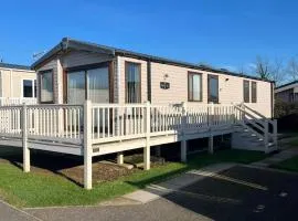 Sunflower 62 Braunton