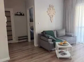 Apartament Miodowa w Straconce