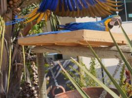 Pousada Canto Dos P&aacute;ssaros Araras Canind&eacute;, cheap hotel in Alto Para&iacute;so de Goi&aacute;s