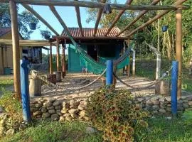 Casinhas do Rio - Casinha Azul na Floresta
