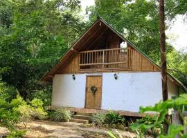 Alojamiento rural Ecoparque La Motilona Paicol, Huila - Cabaña la Motilona