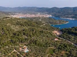 Family friendly house with a swimming pool Vela Luka, Korcula - 23698