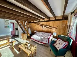 Chalet cosy 4 pers, vue Lac Matemale, équipements complets - FR-1-758-38