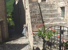 casa vacanze campagna in compagnia