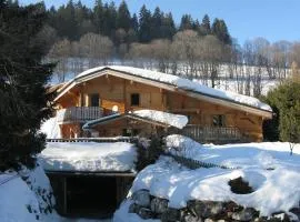 Chalet vue montagne , proche des pistes