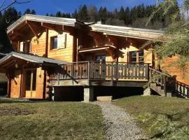 Chalet vue montagne , proche des pistes