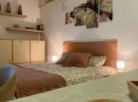 Apartment Victor