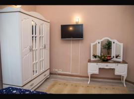 Zara Central Apartments，阿拉德的住宿