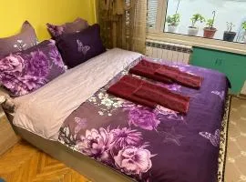 Sleep and fly, The studio apartment, Small bathroom, Balcony