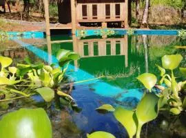 Adama Eco Farm