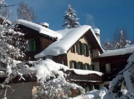FERIENWOHNUNGEN Chalet Hohturnen, hotell i Grindelwald
