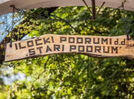 Hotel Stari Podrum, three-star hotel in Ilok