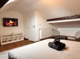 Chambre spacieuse privée avec salle de bain privée