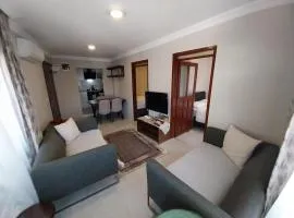 Tiyn house