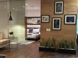 Luxurious and exotic apartment in Reforma 222