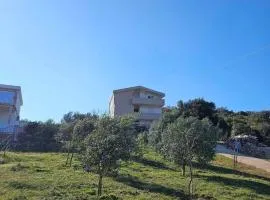 Plavi Horizont