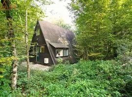 Bosmuis Ardennen, Durbuy, Genieten in de bossen