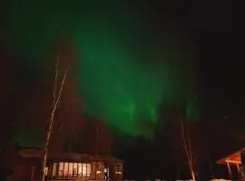 Arctic Fox Rovaniemi