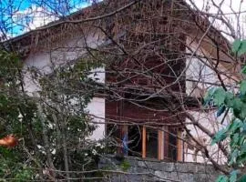 Gemütliche Ferienwohnung mit Garten