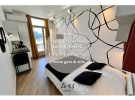 Viesnīca Studio climatisé face Loire et château le 4-5 pilsētā Ambuāza