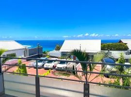 Le Blue Ocean - vue mer - parking - clim - wifi