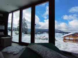 Pine apartment Vlašić