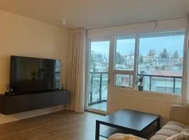 Minimalistic, Flat, Kópavogur