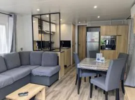 Mobil Home 205 6 à 8 personnes