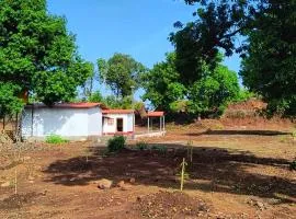 Kittu's Farm