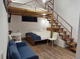 Cozy Old Town Apartment Eugen Carada Street