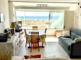 Appartement charmant au Grau-du-Roi avec piscine partagée