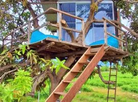 A Mango Tree House with a private swimming pool