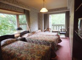 苗場スプリングスホテル、湯沢町のホテル