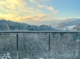 the beskid view