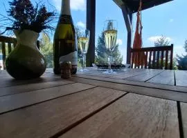 Apartma Pohorc - Macesen